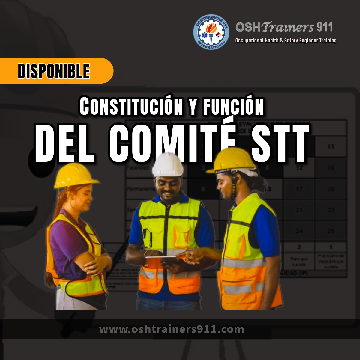 Constitución y Función del Comité SST 